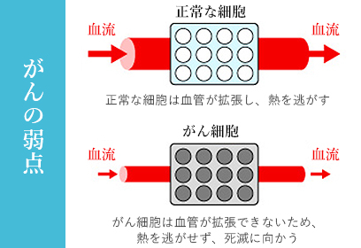 がんの弱点